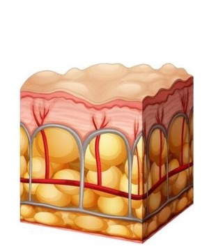 Cavitation Πριν τη Θεραπεια