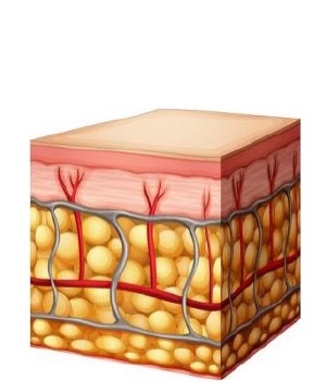 Cavitation Μετα τη Θεραπεια